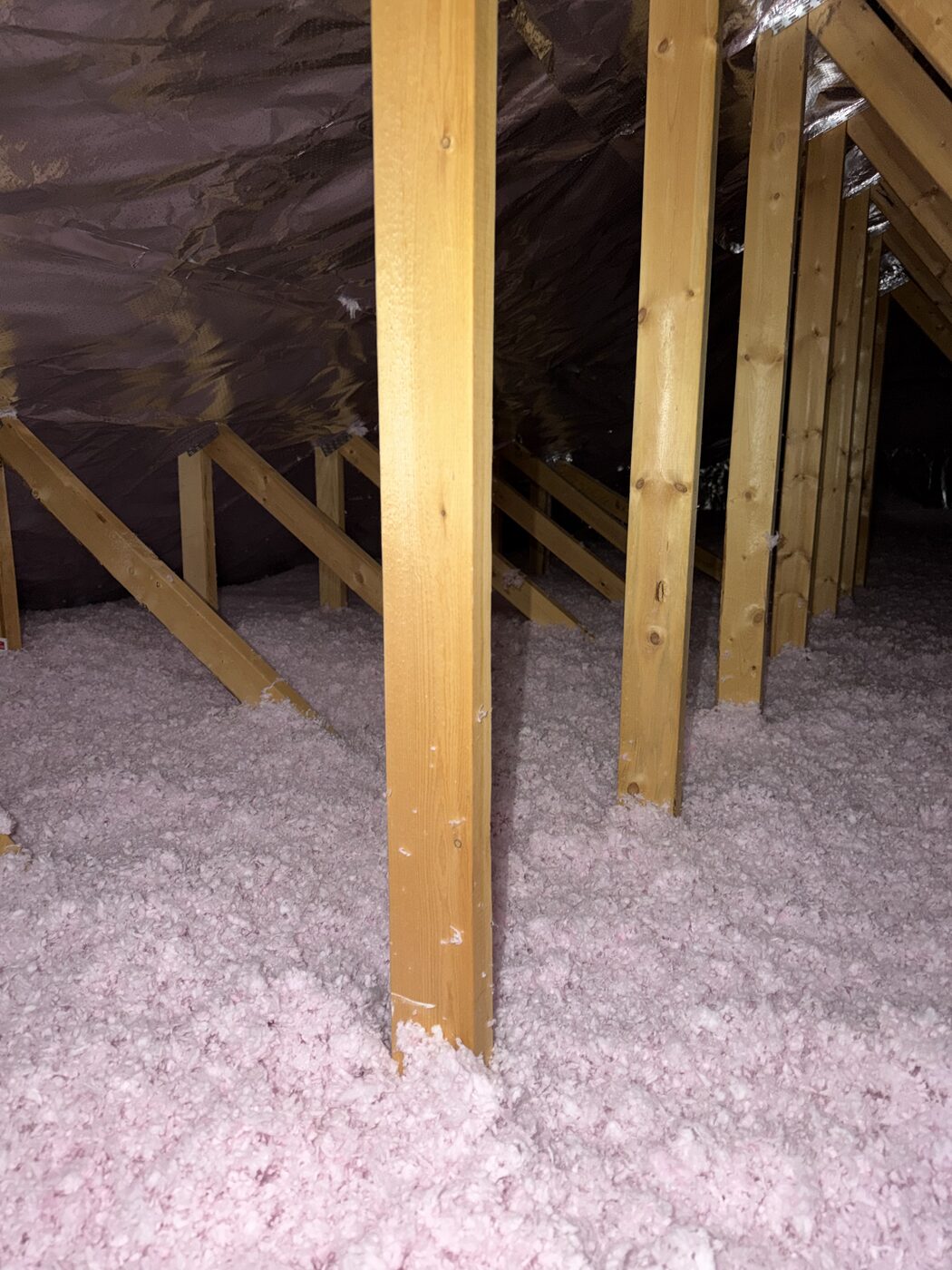 AtticPro job photo: even coverage between every joist — Denver metro
